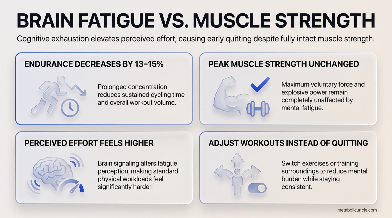 Infographic, Brain Fatigue vs. Muscle Strength: cognitive exhaustion elevates perceived effort and reduces sustained endurance and workout volume by 13 to 15 percent while peak voluntary muscle force and explosive power remain unchanged, alongside strategies to adjust exercises or surroundings instead of quitting