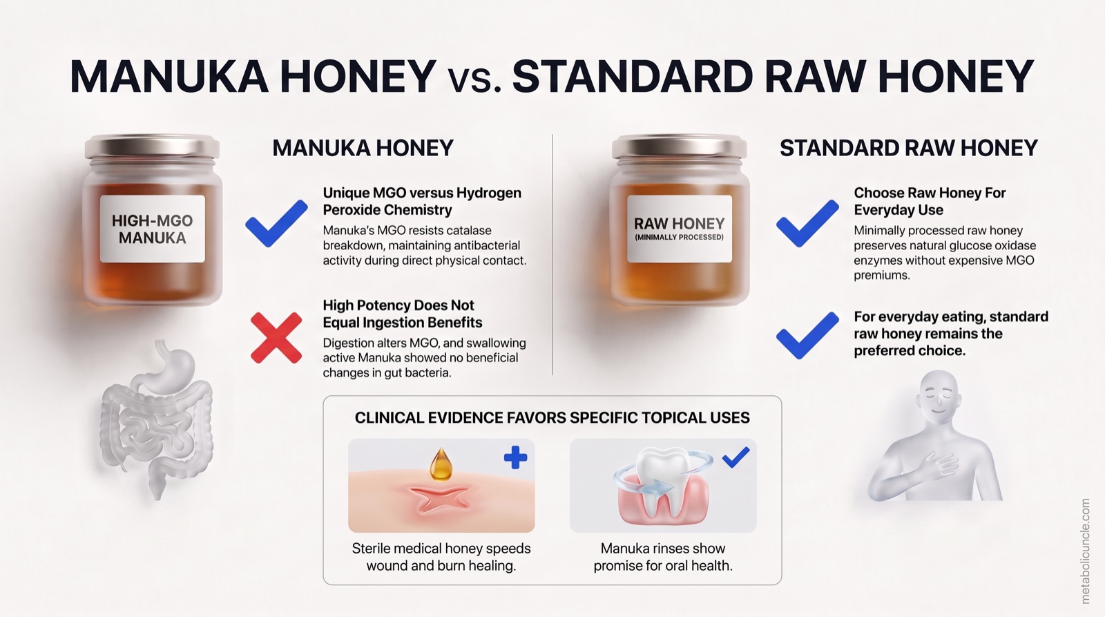 Infographic, Manuka Honey vs. Standard Raw Honey: comparing high-MGO Manuka honey's catalase-resistant methylglyoxal chemistry and lack of proven lower-gut ingestion benefits against minimally processed raw honey with natural glucose oxidase enzymes for everyday use, alongside topical wound-care and oral-rinse evidence